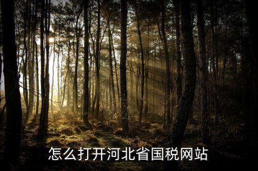 河北稅務官網是什么意思，怎么打開河北省國稅網站