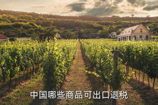 什么貨物出口可以退稅，中國哪些商品可出口退稅