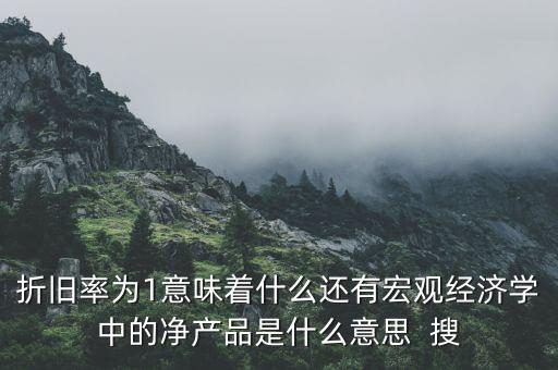 折舊率為1意味著什么還有宏觀(guān)經(jīng)濟(jì)學(xué)中的凈產(chǎn)品是什么意思  搜