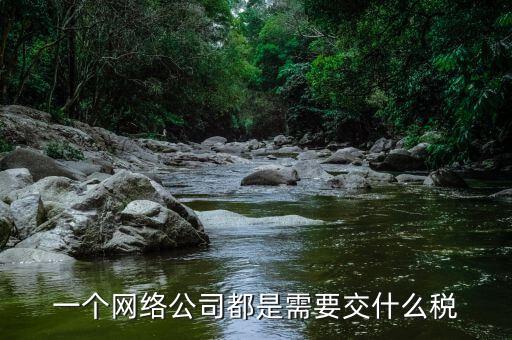 互聯(lián)網(wǎng)公司交什么稅，做互聯(lián)網(wǎng)服務(wù)行業(yè)要交多少稅