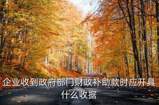 企業(yè)收到政府部門財(cái)政補(bǔ)助款時(shí)應(yīng)開(kāi)具什么收據(jù)