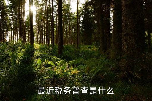 最近稅務普查是什么