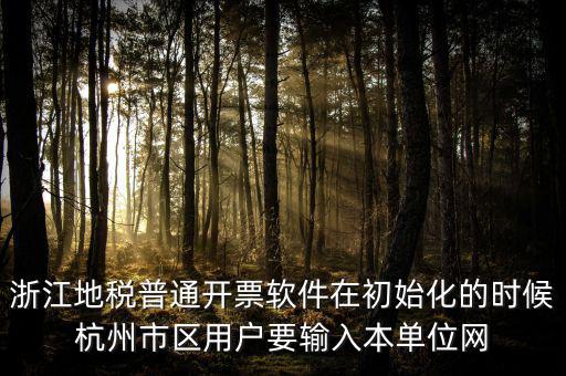 浙江網(wǎng)上稅務(wù)局的注冊碼是什么，浙江地稅因特網(wǎng)辦稅服務(wù)系統(tǒng)注冊碼過期
