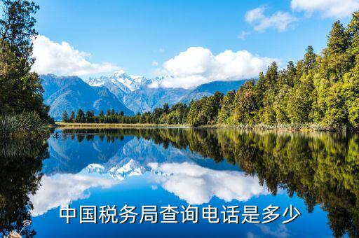 福建國(guó)稅查找打什么電話，國(guó)稅電話