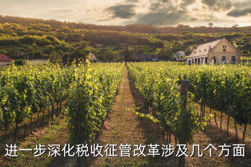 稅務(wù)改革 發(fā)展要什么，論述個(gè)人所得稅改革的基本原則