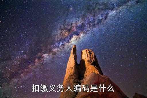 個(gè)稅系統(tǒng)扣繳義務(wù)人編碼是什么，扣繳義務(wù)人編碼是什么