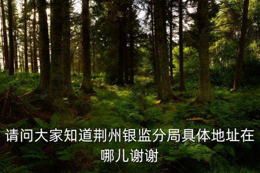 荊州稅務(wù)局在什么地方，請問大家知道荊州銀監(jiān)分局具體地址在哪兒謝謝
