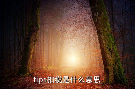 國稅tips系統(tǒng)指什么意思，電子對賬單上摘要一欄寫有tips是什么意思