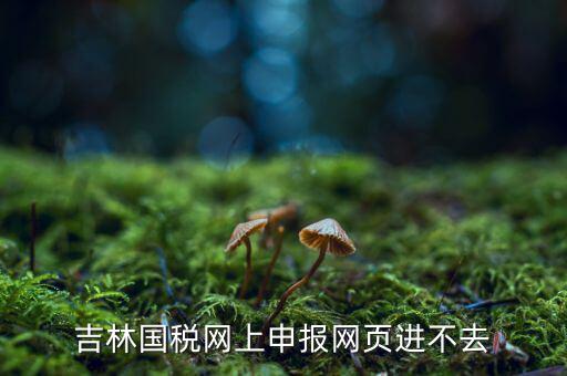 吉林省國稅上不去為什么，吉林省國家稅務(wù)局晚上申報(bào) 無法安全登陸