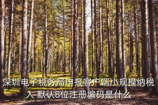 深圳納稅人編號(hào)是什么，什么是深圳市國(guó)稅百元開頭發(fā)票的納稅人識(shí)別號(hào)