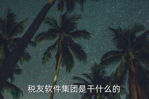 稅友軟件是干什么的，稅友的稅友軟件集團(tuán)