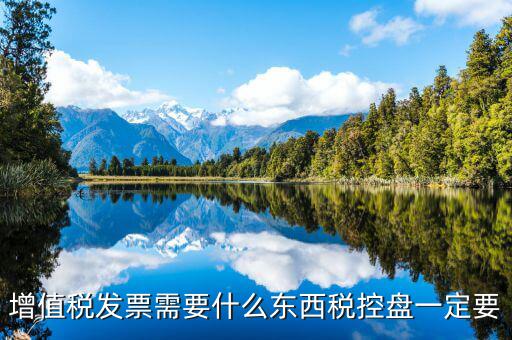 發(fā)票打印需要什么盤，調(diào)試打印增值稅發(fā)票的打印機(jī)要插入金稅盤嗎