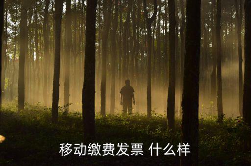 移動(dòng)電子發(fā)票什么樣，移動(dòng)繳費(fèi)發(fā)票 什么樣