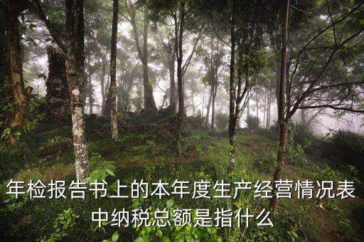 年報的納稅額看什么表，年檢報告書上的本年度生產(chǎn)經(jīng)營情況表中納稅總額是指什么