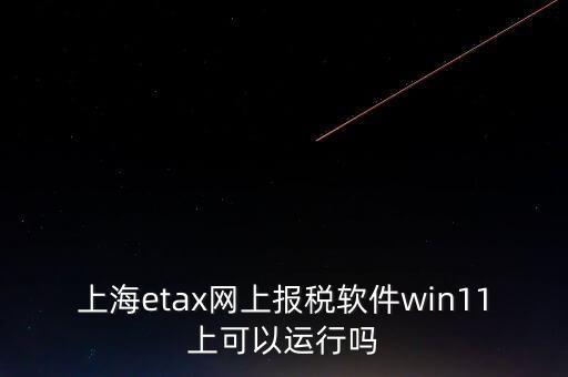 上海網(wǎng)上報稅什么軟件，上海etax網(wǎng)上報稅軟件win11上可以運行嗎