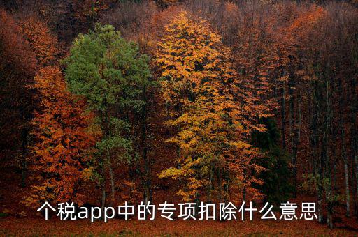 個稅app中的專項(xiàng)扣除什么意思