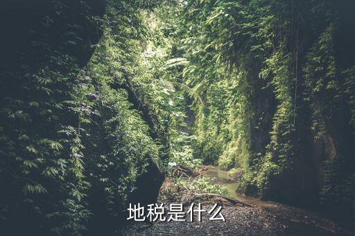 地稅初心是什么，初心使命指的是什么