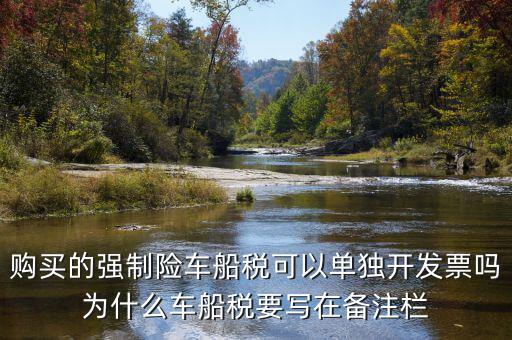 保險車船稅為什么在發(fā)票備注欄，購買的強(qiáng)制險車船稅可以單獨(dú)開發(fā)票嗎為什么車船稅要寫在備注欄