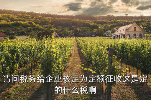 請(qǐng)問稅務(wù)給企業(yè)核定為定額征收這是定的什么稅啊