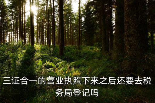 辦完三證合一 要去稅局做什么，三證合一后還需要去國(guó)地稅做些什么啊