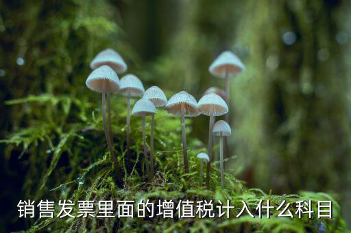 發(fā)票稅金入什么科目，開(kāi)票稅金計(jì)入什么科目