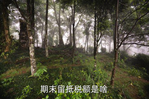 什么是期末留抵稅額，增值稅納稅申報(bào)期末留抵稅額是什么意思