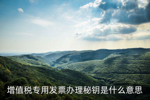 國稅密鑰是什么，增值稅專用發(fā)票辦理秘鑰是什么意思