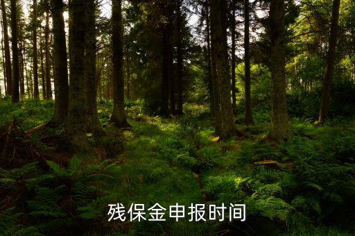 2016殘保金什么時(shí)候交，殘保金是一年一交嗎