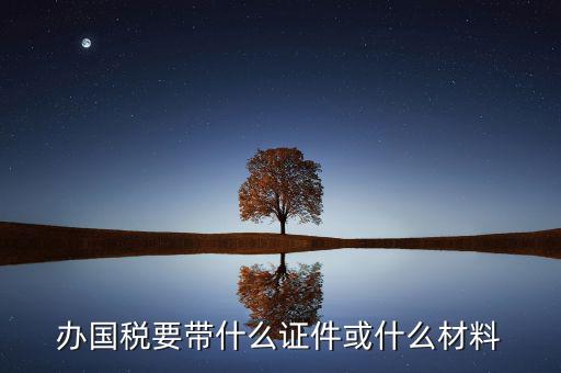新辦國稅需要什么資料，第一次買國稅發(fā)票需要些什么手續(xù)