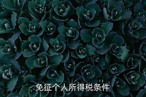四業(yè)免征個人所得稅有什么要求，個人所得稅減免稅有哪些要求