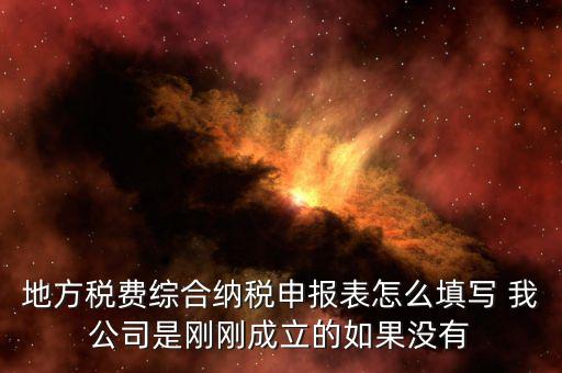 地方稅費(fèi)綜合納稅申報(bào)表怎么填寫 我公司是剛剛成立的如果沒有