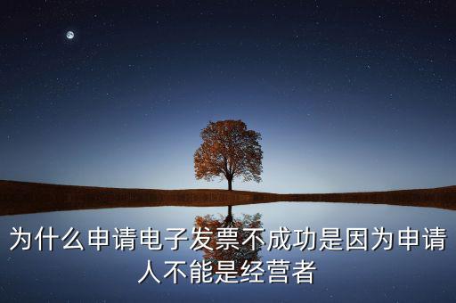 發(fā)票網(wǎng)上申領(lǐng)失敗什么原因，電子發(fā)票網(wǎng)上申領(lǐng)結(jié)果是2