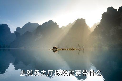 去地稅大廳解決欠稅問題需帶什么資料及文件，去稅務大廳查詢公司欠的增值稅需帶啥資料
