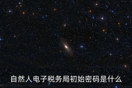 自然人電子稅務局初始密碼是什么