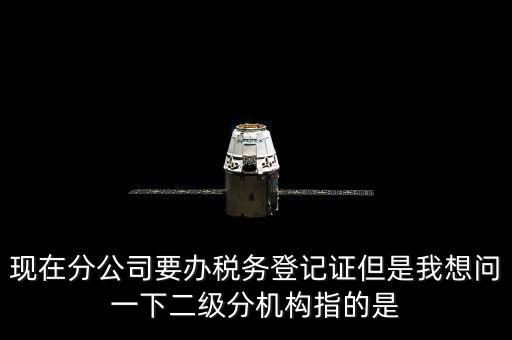 現在分公司要辦稅務登記證但是我想問一下二級分機構指的是