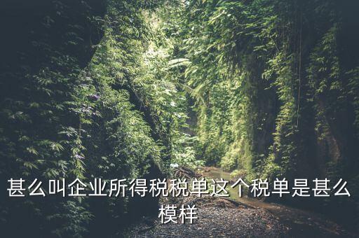 企業(yè)所得稅稅單是什么，稅單是什么怎樣提供稅單