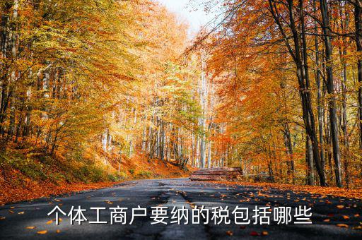 個(gè)體戶需要交什么稅，個(gè)體工商戶需要鈉哪些稅呢