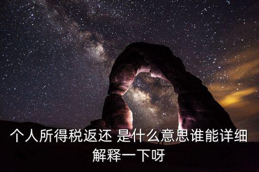 個(gè)人所得稅返還 是什么意思誰(shuí)能詳細(xì)解釋一下呀