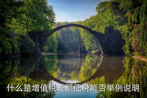 小規(guī)模增值稅差額征收什么意思，什么是增值稅差額征稅