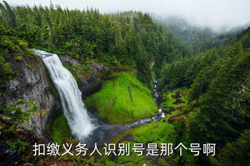 繳扣義務(wù)人編碼是什么，扣繳義務(wù)人識(shí)別號(hào)是那個(gè)號(hào)啊