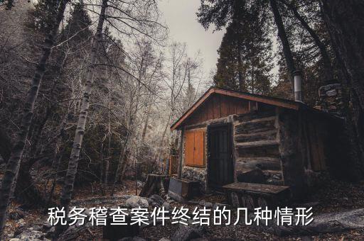 什么是稽查結(jié)案，稅務(wù)稽查案件終結(jié)的幾種情形