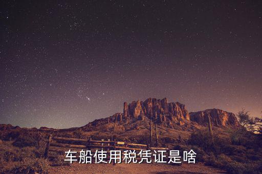 車船稅繳納憑證是什么意思，車船使用稅憑證是啥