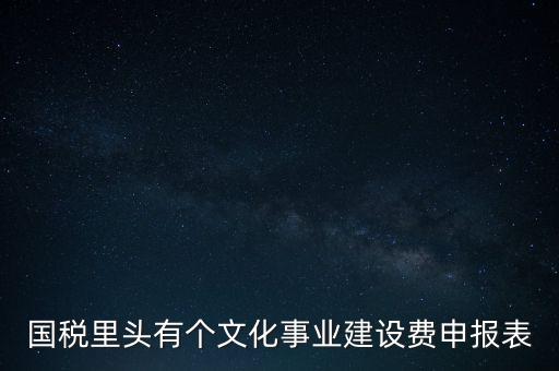 國稅里頭有個(gè)文化事業(yè)建設(shè)費(fèi)申報(bào)表