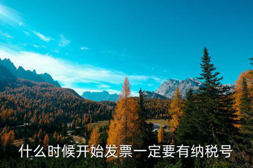 什么發(fā)票要稅號，什么時候開始發(fā)票上單位要有稅號