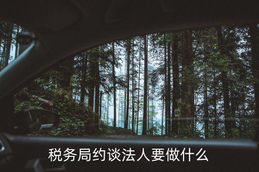 稅務(wù)異常約談法定代表干什么，稅務(wù)局約談法人要做什么