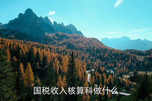收入規(guī)劃核算處做什么的，收入核算是做什么的