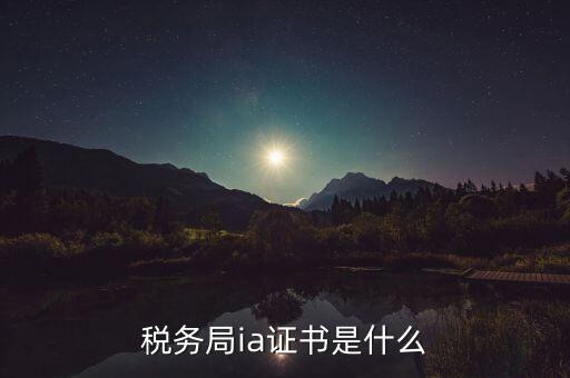 稅收數(shù)字證書是什么，什么是稅務(wù)局的CA證書