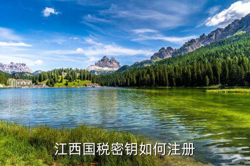江西國(guó)稅密鑰是什么意思，為啥江西國(guó)稅的CA密鑰總是裝不成功