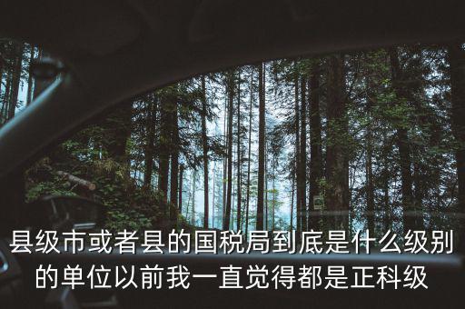 縣國稅局辦稅服務(wù)廳主任是什么級別，縣地稅局辦公室主任是什么行政級別