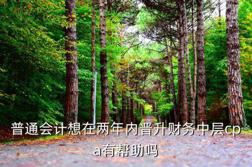 國(guó)稅有什么升職路線，普通會(huì)計(jì)想在兩年內(nèi)晉升財(cái)務(wù)中層cpa有幫助嗎